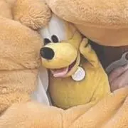 きいろの画像