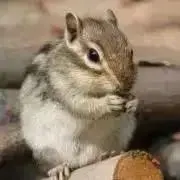 まいる※プロフィール必読