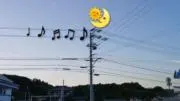 りむりむ