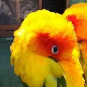 まりん
