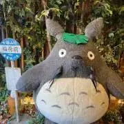 y.の画像