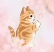 Atoriの画像