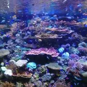 つなかんの画像