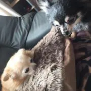 みるまろ