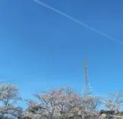 Marbleの画像