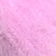 Rの画像