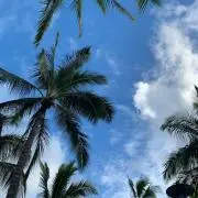 Maamiの画像