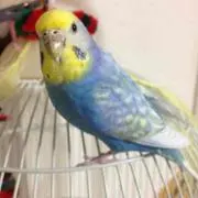 ちか