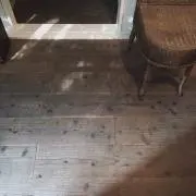 ttの画像