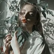 タフィー