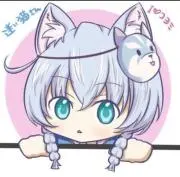 迷い猫
