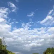 ゆん
