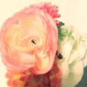 桜@プロフ必読