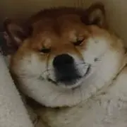 おじじ