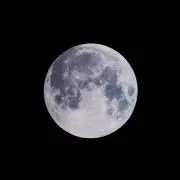 ピートの画像
