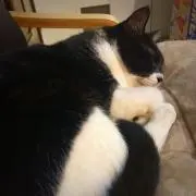 アスカ