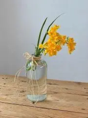 のっこ