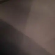 モモンガの画像