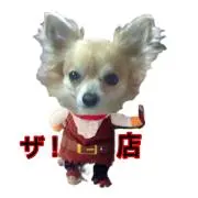 スーパーセレブ　　　　　　　☆ちょこたんの画像