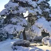 草原　アイ