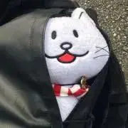 なかや❁プロフご確認下さい。の画像
