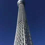 キュウリトマトの画像