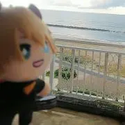 菜梨・プロフ必読願いますの画像