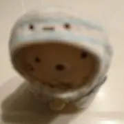 ＳＲＲの画像