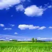 断捨離ママ