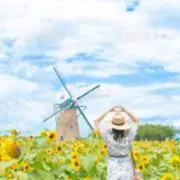 K&M✨匿名配送✨即購入OK✨の画像