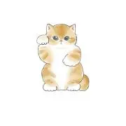 マップスの画像
