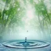 りんまるの画像