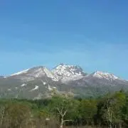 ユキ