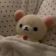 さくらの画像