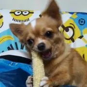 りさ