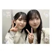 ひよこの画像