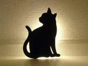 ゆきの画像