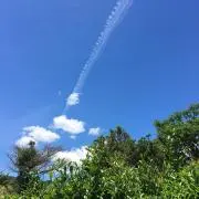 ぺるさちの画像