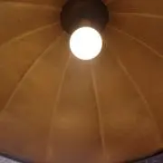 ゴリラの画像