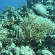 エコパーツオートの画像