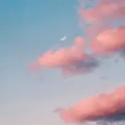 cocoの画像