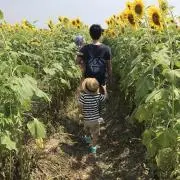 KENの画像