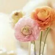 ☆MIH☆の画像