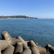 ともの画像
