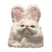 なこの画像