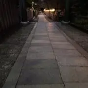 ぱちこの画像