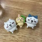 瑠璃の画像