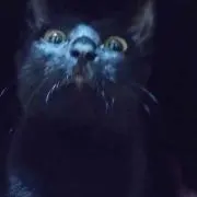あの画像