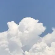 うさぎの画像
