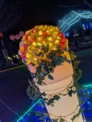 ティア　購入前にコメントお願いしますの画像